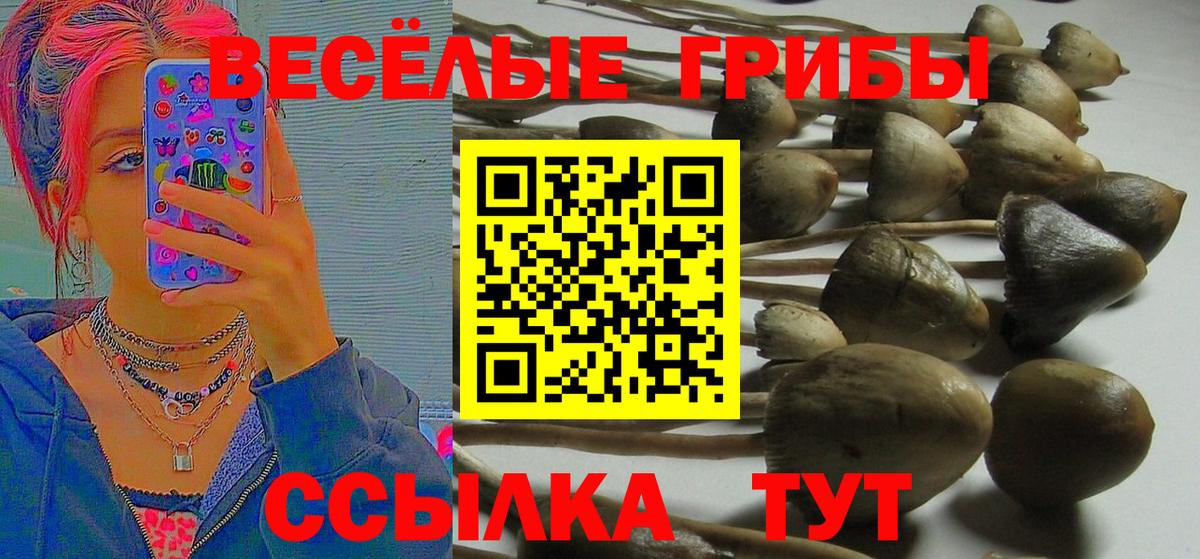 Псилоцибиновые грибы мухоморы Лесозаводск
