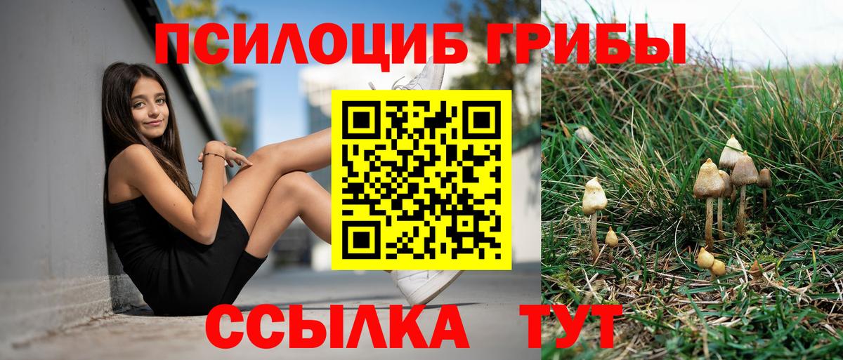 сколько стоит  Псилоцибиновые грибы Cubensis  Вход с VPN  Лесозаводск 